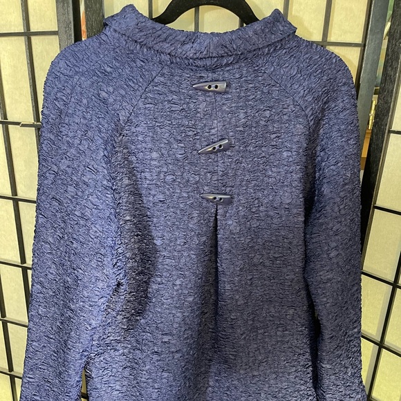 Samuel Dong Blue Jacket - Picture 4 of 10